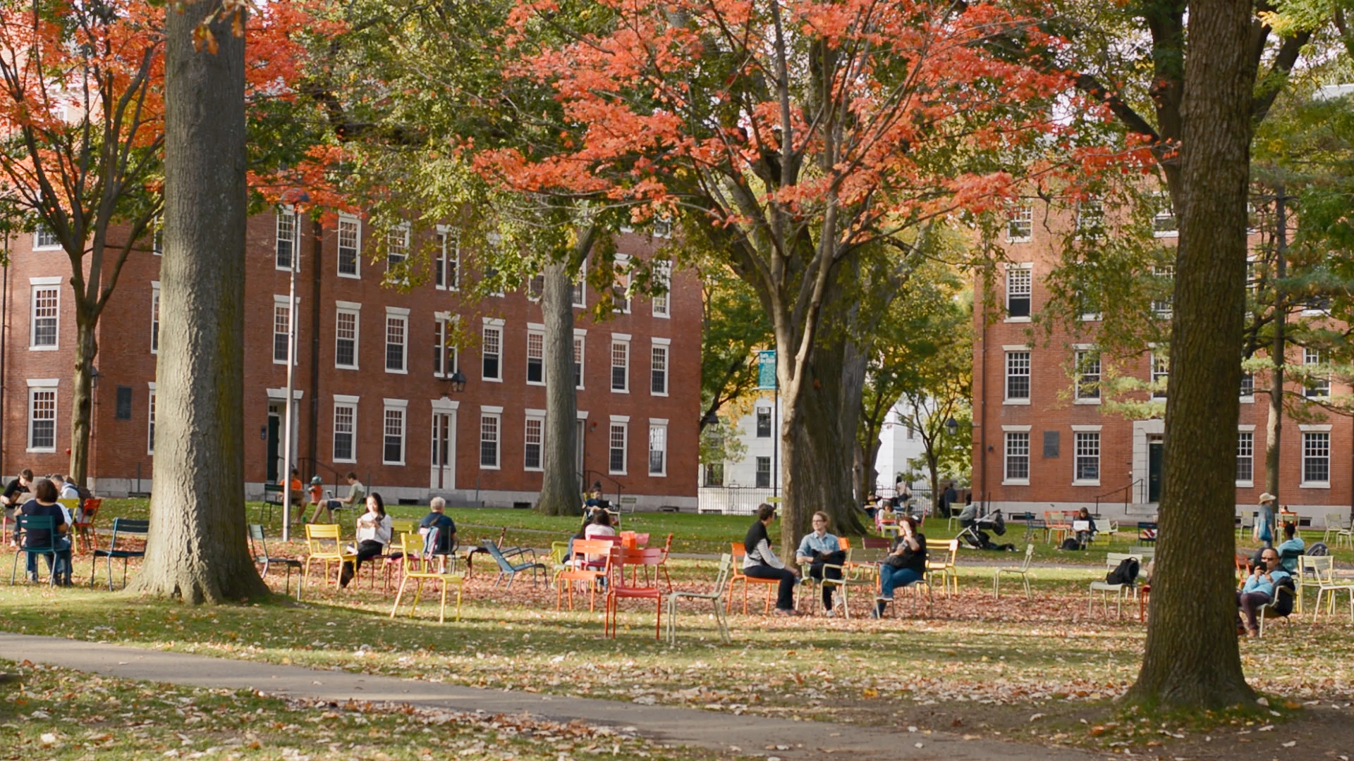 School campus